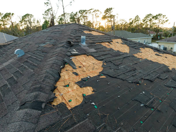 Best Storm Damage Roof Repair  in Bonham, TX